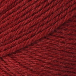 Ella Rae Classic Superwash -Deals YARN Store 416x416 1564