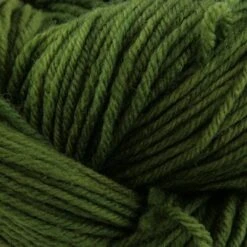 Dream In Color Classy