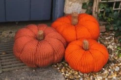 Deramores Pumpkin PDF -Deals YARN Store 416x416 2503