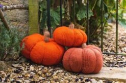 Deramores Pumpkin PDF -Deals YARN Store 416x416 2504