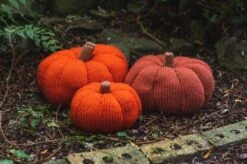 Deramores Pumpkin PDF -Deals YARN Store 416x416 2509