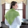 Valley Yarns 363 Pincushion Moss Crocheted Shawl -Deals YARN Store 416x416 4078